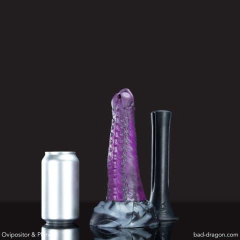 Ovipositor