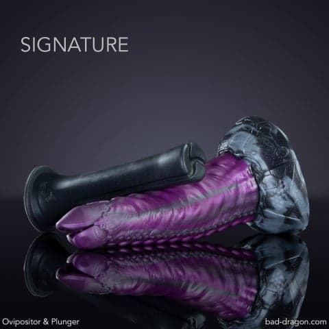Ovipositor