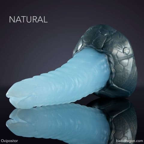 Ovipositor