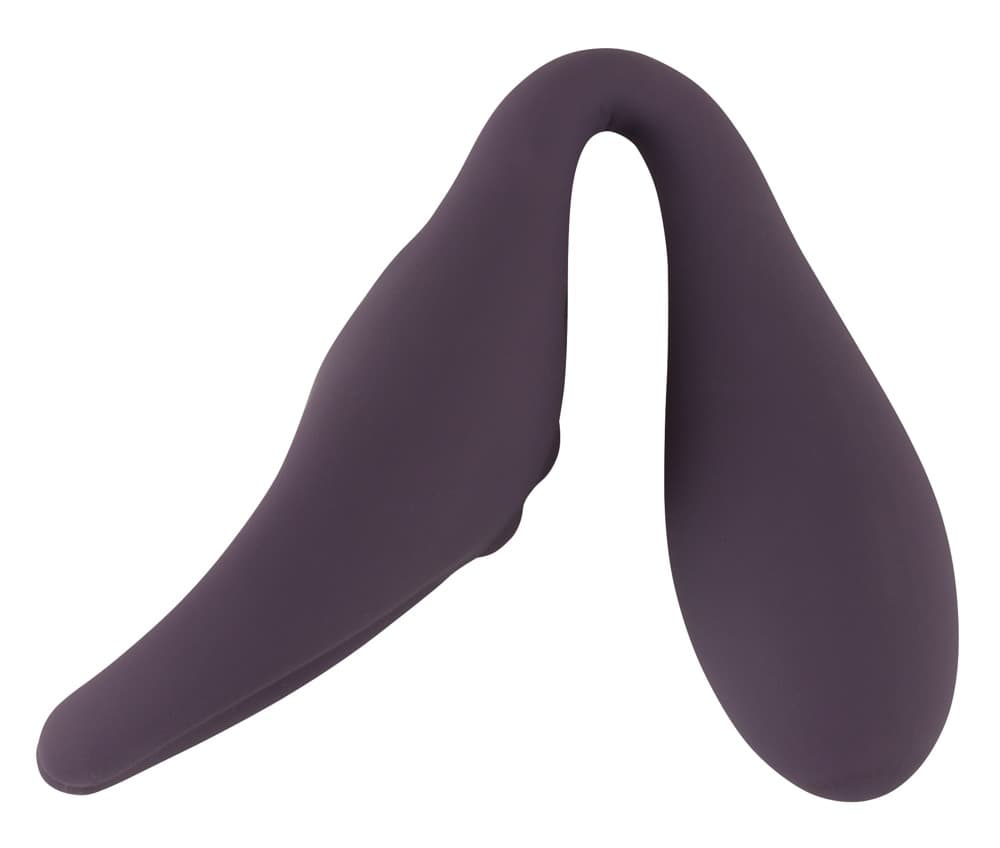 Doppelvibrator „Remote Controlled Couple's Vibrator“ mit kabelloser Fernbedienun