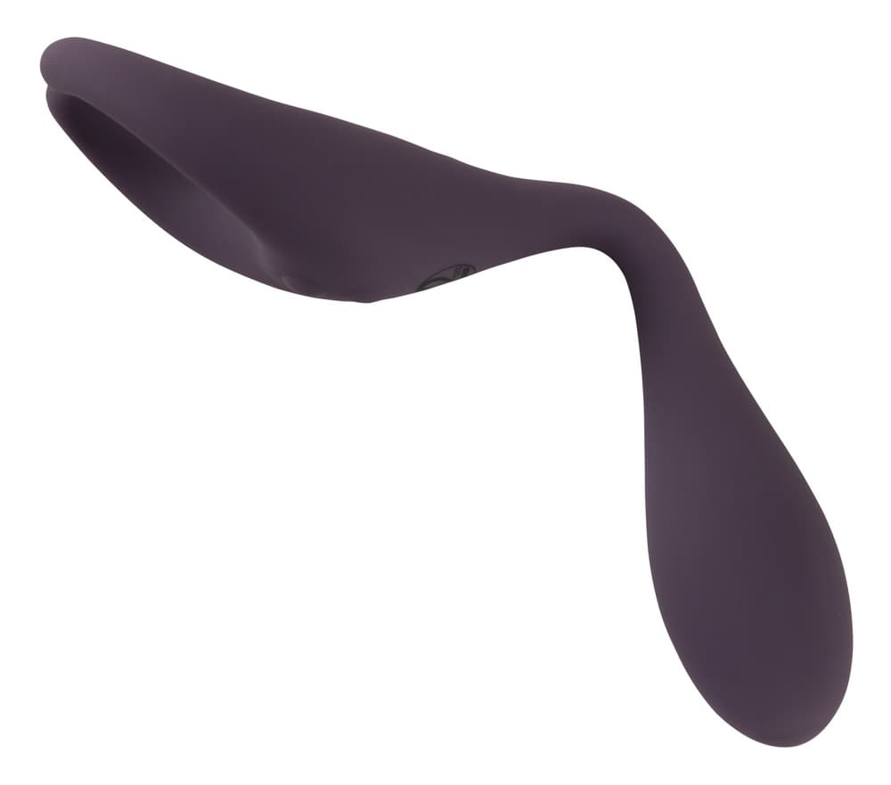 Doppelvibrator „Remote Controlled Couple's Vibrator“ mit kabelloser Fernbedienun