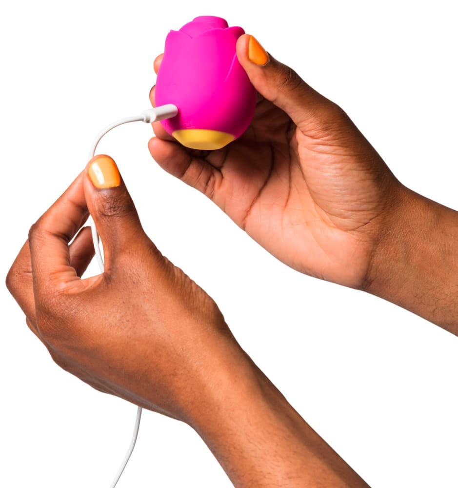 Pulsator ROMP by Womanizer „Rose“
