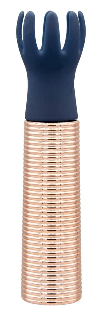 Vibrator „Desires“ mit 5 Silikon-Aufsätzen