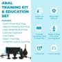 b-Vibe Anal Training Kit & Education Set